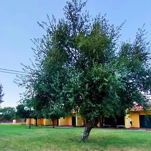  Vakantiehuis Nuraghe Ruiu &